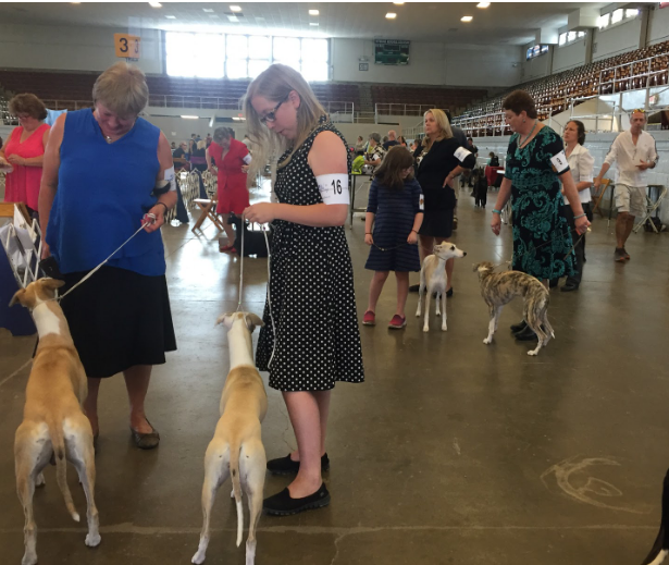 Dog show handlers | MarionMade