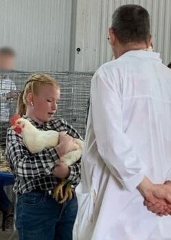 Avelyn, a middle school student with reddish -blonde hair pulled back in braids, holds a white chicken and talks to a judge during the fair. She has two earings, a black-and-white plaid shirt, and blue jeans.