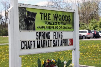 A sign stating "The Woods and Homeless to Home Animal Rescue and Cat Sanctuary.) This is the location of many Luminous Occasions events.