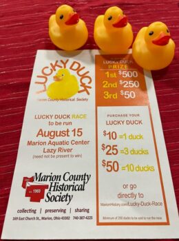 Duck race flyer with three plastic ducks