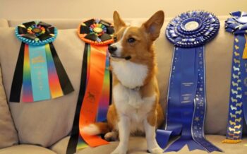 Lily posed with ribbons behdin her.